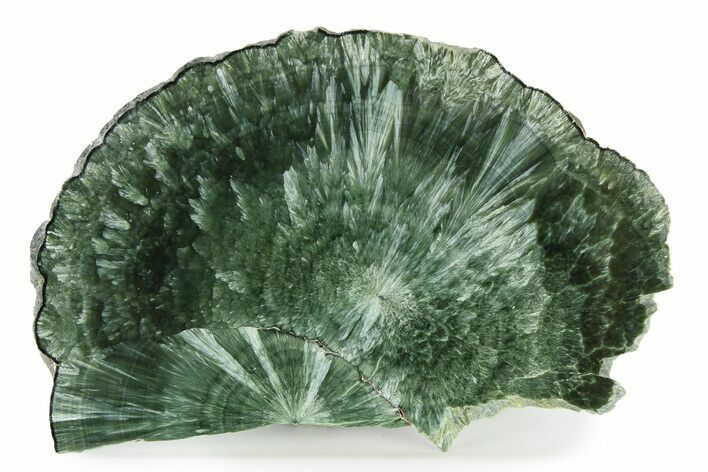 Polished Seraphinite Slab - Korshunovkiy Mine, Siberia #336478